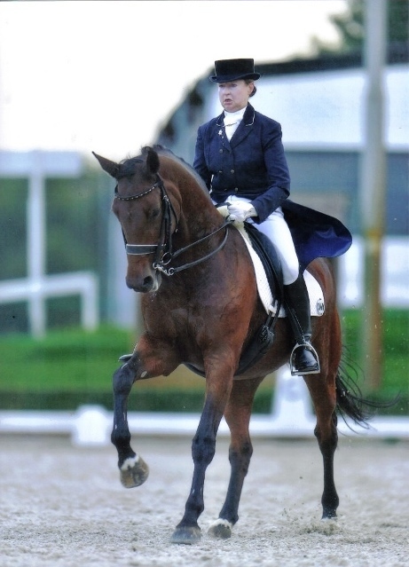 galop_emmeloord_2012.jpg