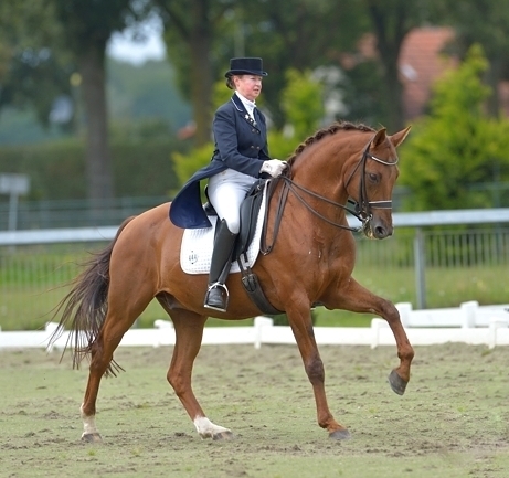 A_Umpire_galop_grandPrix_Dressuur_DoreenProos.jpg