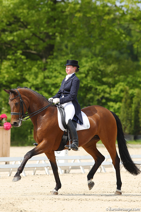 Roosendaal_CDI3_Draf_Grand_Prix.jpg