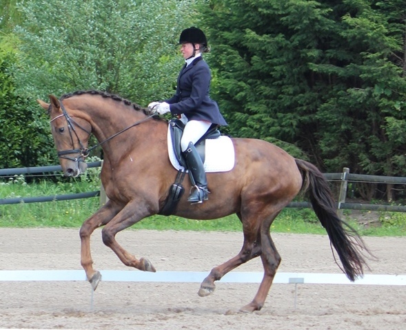 Delrona_17_5_2015_galop_3_.JPG