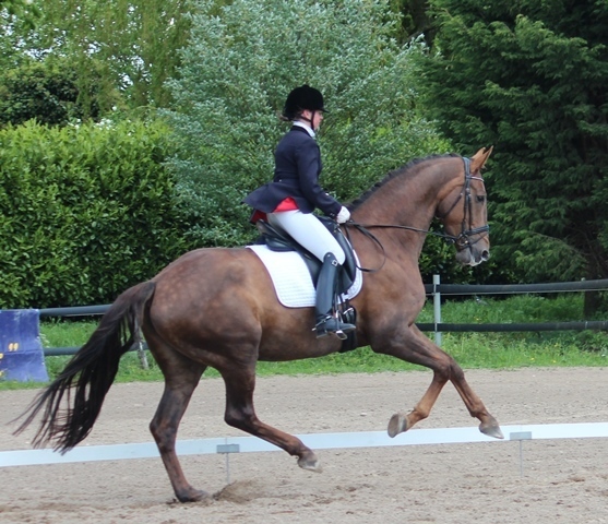 Delrona_17_5_2015_galop.JPG